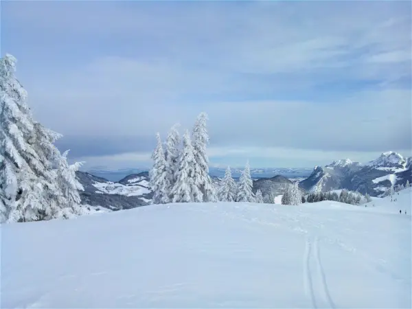 Hirmentaz