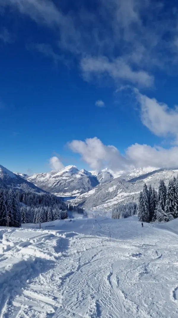 2 pièces - Les Gentianes_Châtel