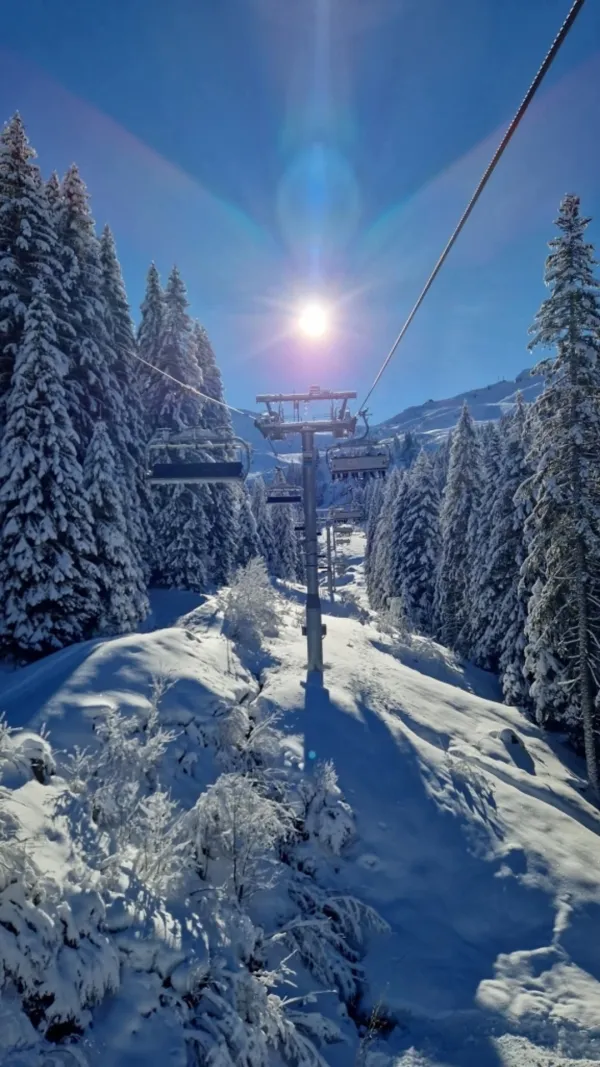 2 pièces - Les Gentianes_Châtel