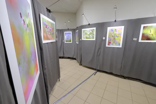 18e Festival Instants Sauvages 74