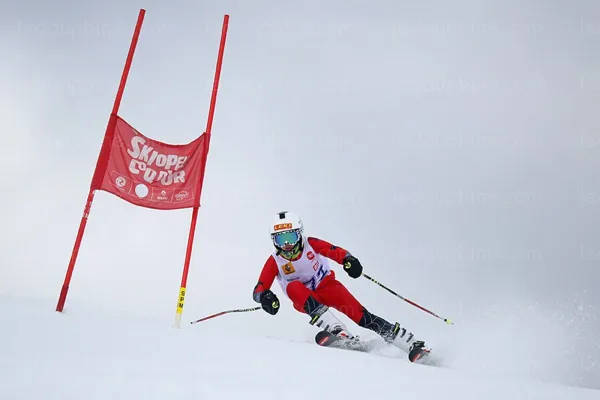 Skiopen Coq d'or