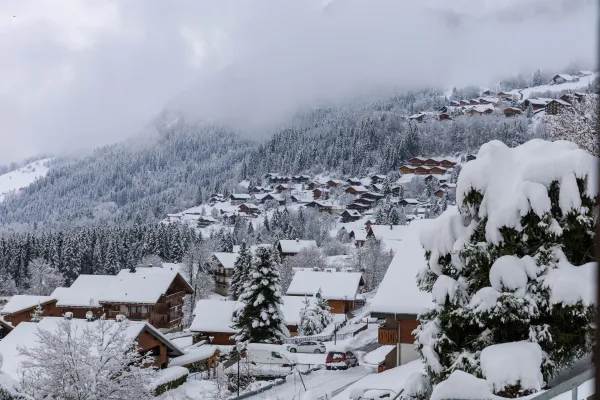 Vue du balcon en hiver