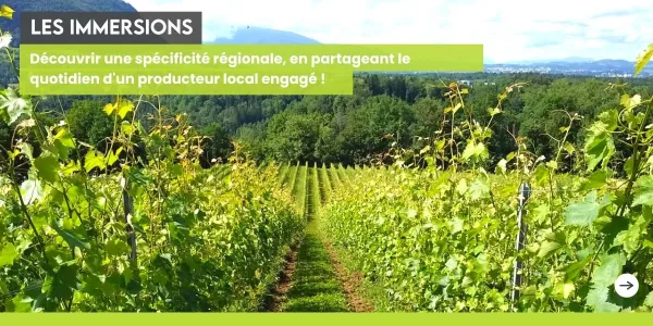 Vigneron biodynamie