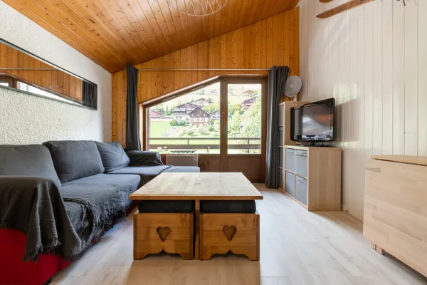Montana Immobilier