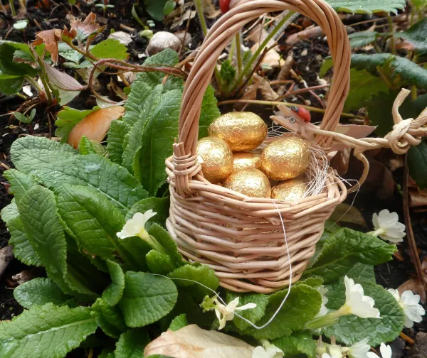 Chasse aux oeufs de Pâques