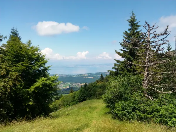 Aire de départ parapente et delta des Hermones