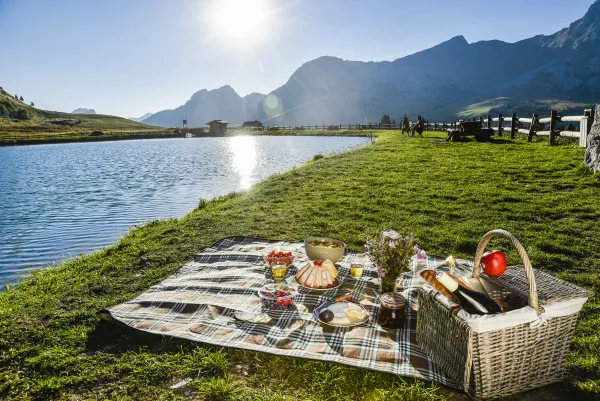 Aire de pique-nique / barbecue au lac de la Cour