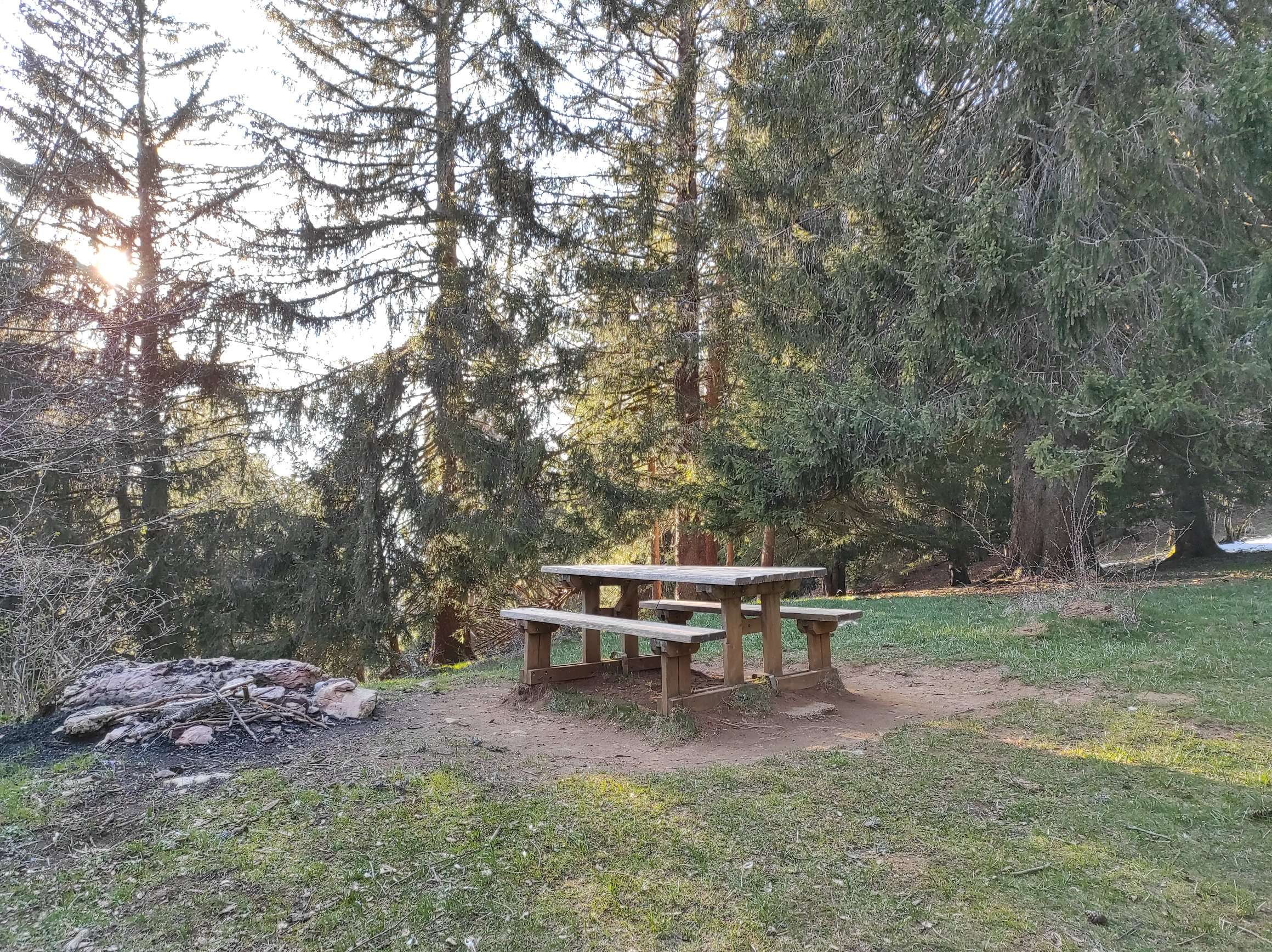 Aire de pique-nique - Le Grand Piton à Beaumont