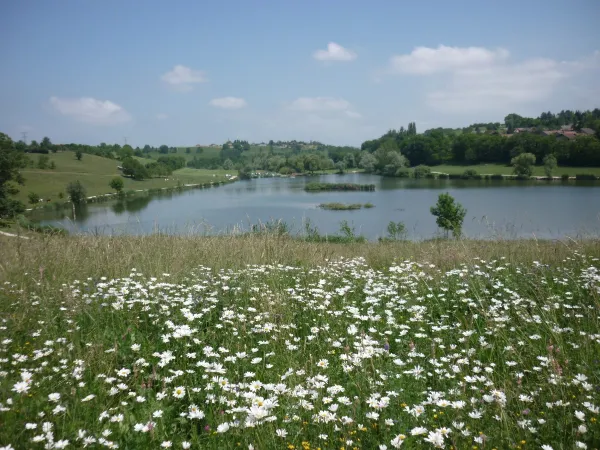 Aire de pique-nique - Lac de Machilly