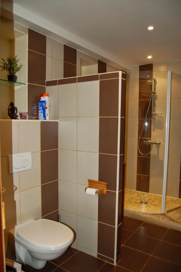 Salle d'eau + WC partagée