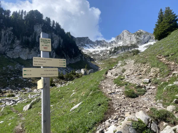 Aller-retour La Petite Sambuy par la piste forestière
