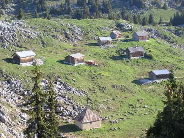 Alpage de Nifflon