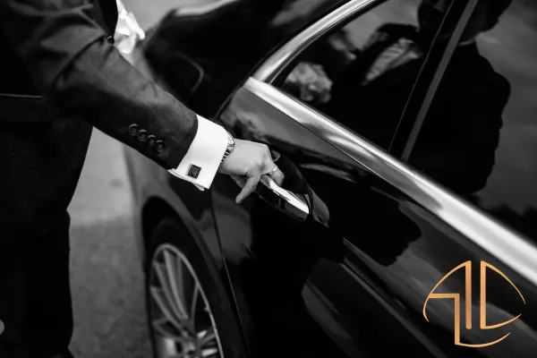 Alps Luxury Driver