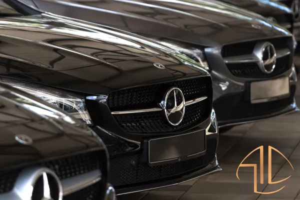 Alps Luxury Driver