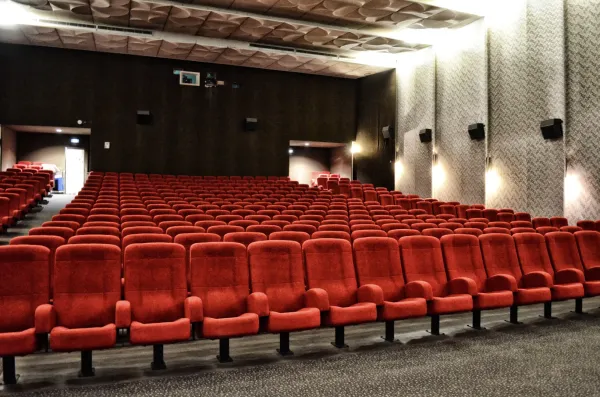 Cinéma Le Danay