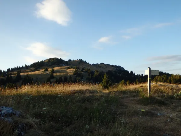 Circuit Trail 3 - Boucle de Nifflon