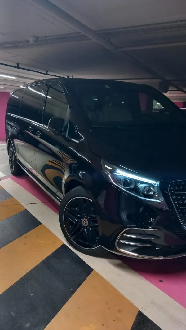 Geneva shuttle alps