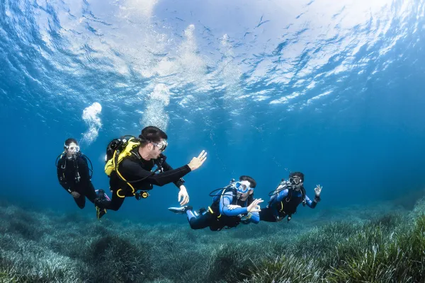 Annecy Plongée Nautisme