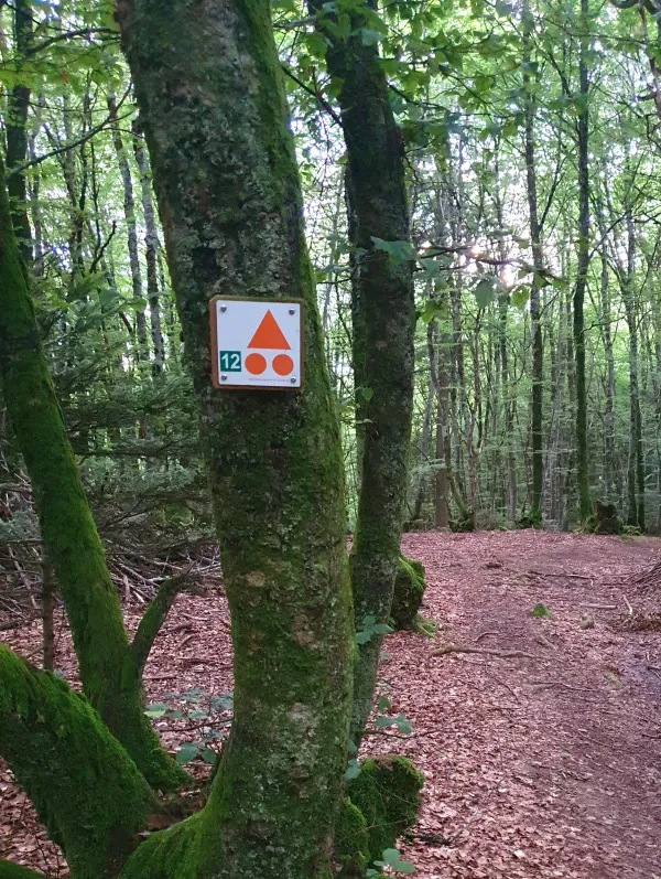 Circuit n°12 Le bois du Fayet - VTT FFC pays d'Evian balcon du Léman