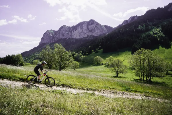 Circuit n°15 Le Mont Bénand - VTT FFC pays d'Evian balcon du Léman