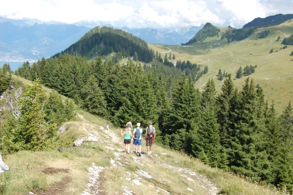 Vue sur le sentier et les montagnes