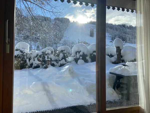 jardin hiver