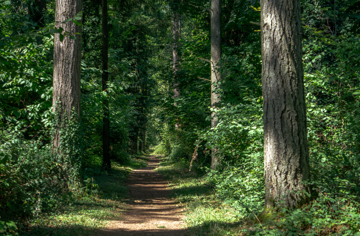 Arboretum de Ripaille_Thonon-les-Bains