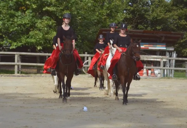 Cours collectif équitation adulte
