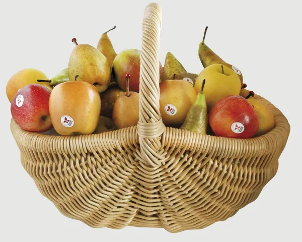 panier pommes poires