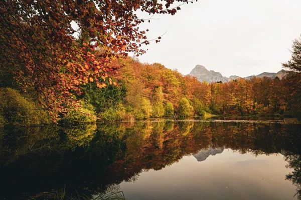 Autour du lac de La Beunaz et du lac noir