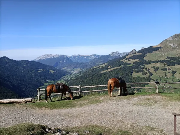 Balade à cheval au Grand-Bornand
