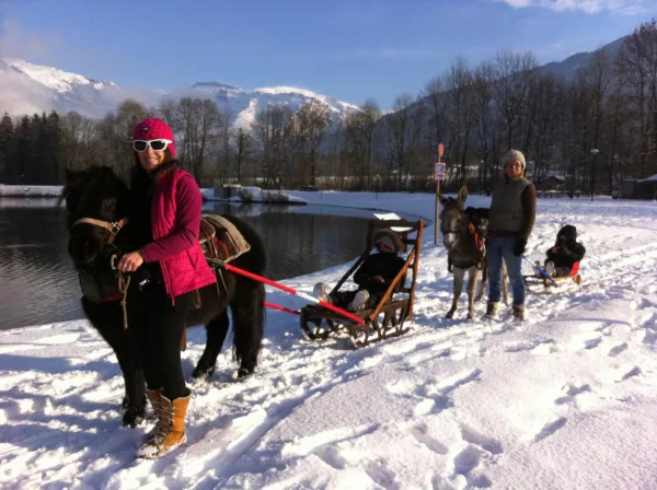 Balade en poney luge