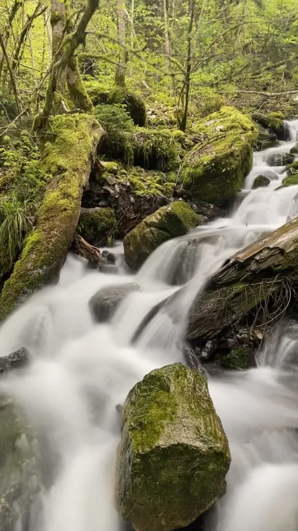 Balade à la cascade du Creux de l'Enfer