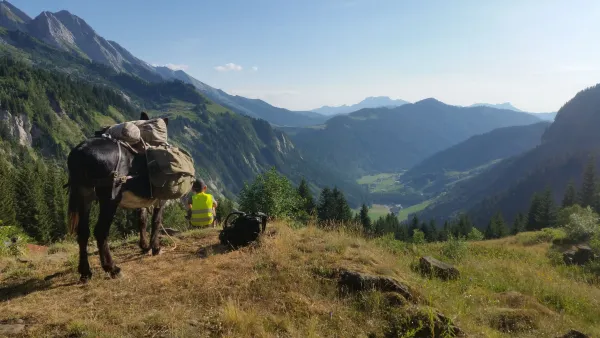 Balade accompagnée d'un âne, d'un poney ou d'un lama, avec Les Galopins