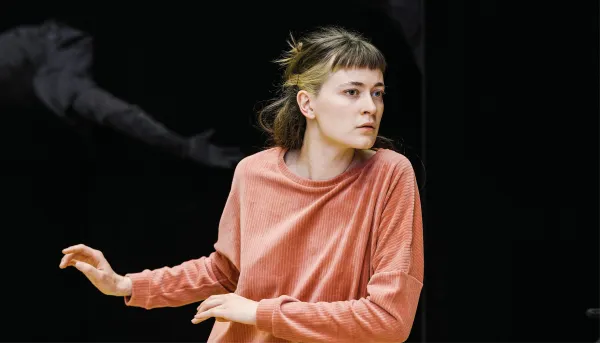 Danse : Avant la nuit / L'oiseau de feu - Edouard Hue