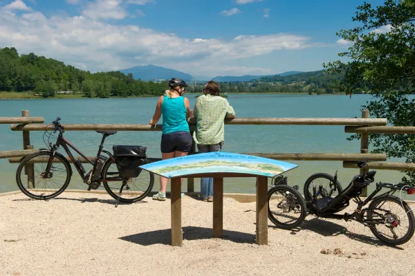 Balade Ornithologique en VTT et vélos électriques