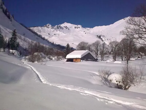 Balade raquettes accompagnée "Les grands panoramas"