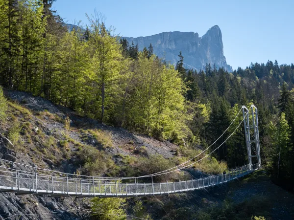 Balade du Plateau d'Assy au Lac Vert par la passerelle du Nant Bordon