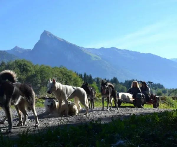Balade en cani-Kart
