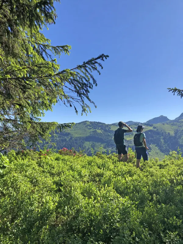 Balade sur les crêtes de Super Morzine et au Belvédère du Lac