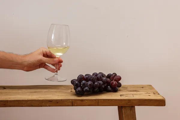 Dégustation de vins bio