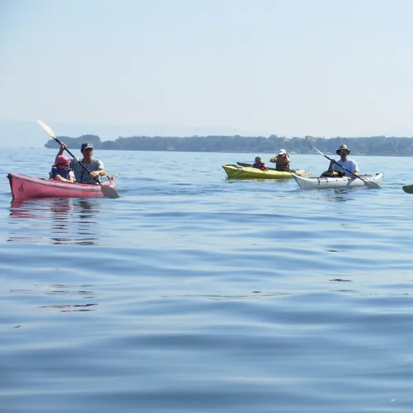 Demi-journée de randonnée kayak sur le Léman