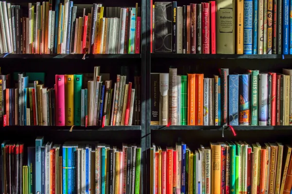 Bibliothèque de Magland