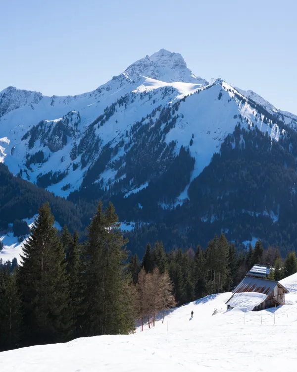 Domaine skiable La Chapelle d'Abondance