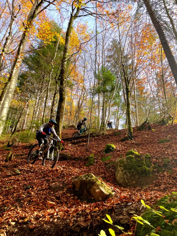 BIKE EXPERIENCE