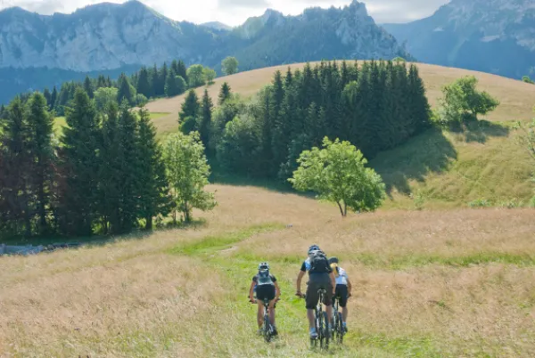 Bike View point