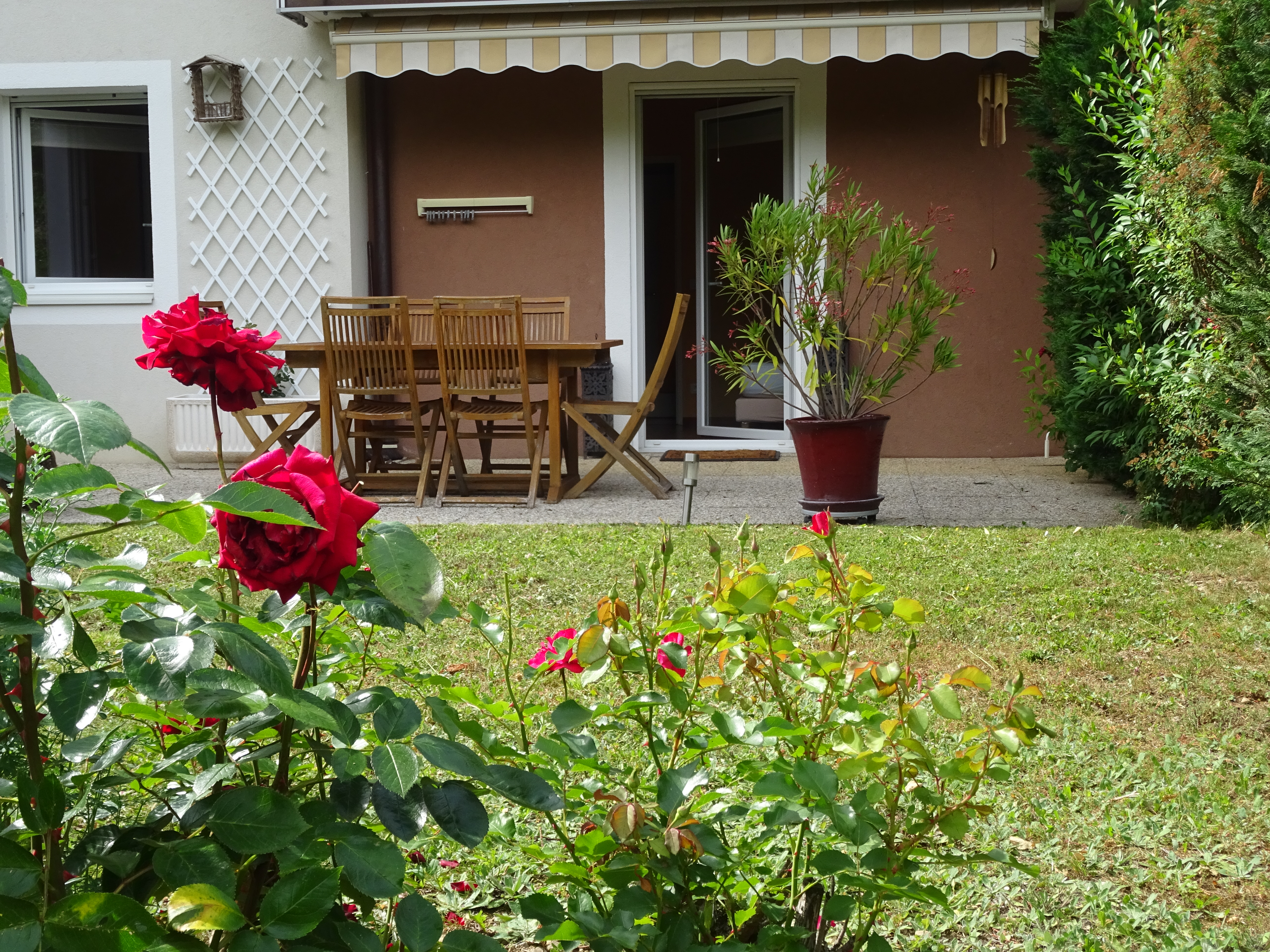 photo jardin