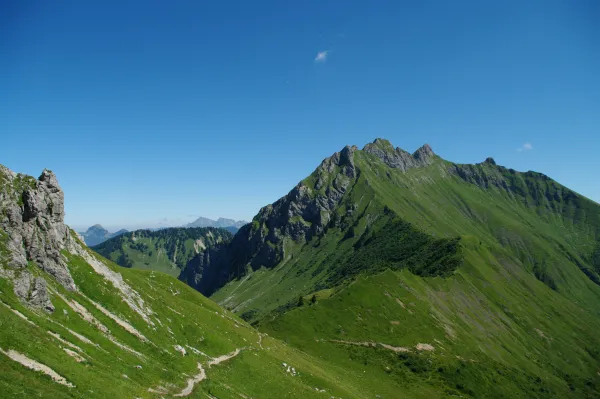 Écotrail de Praz de Lys Sommand - 50 km