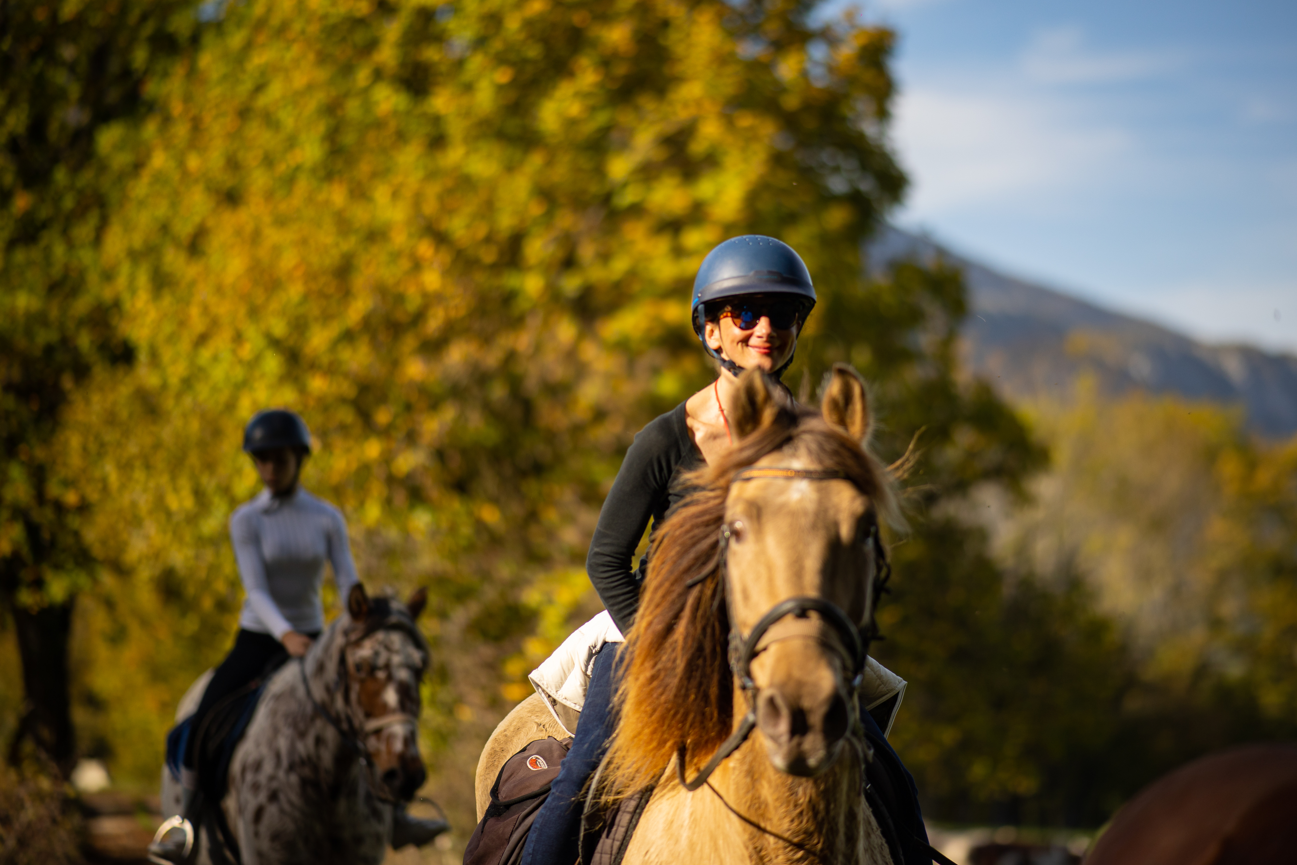 Bon cadeau : balade à cheval à Chevaline
