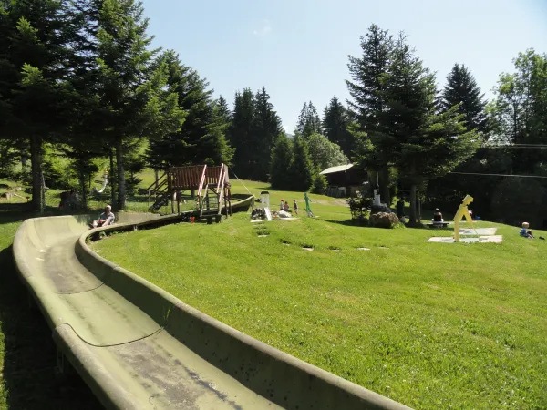 Bob-luge
